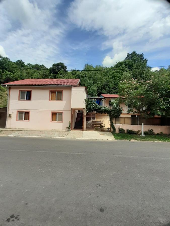Апартаменты Casa Iza Бэиле-Еркулане Экстерьер фото