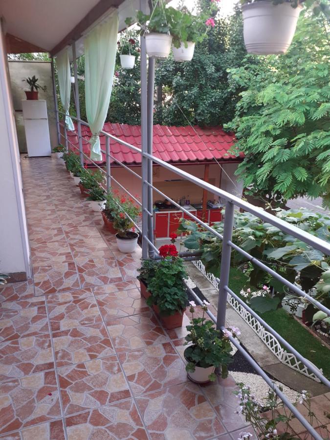 Апартаменты Casa Iza Бэиле-Еркулане Экстерьер фото